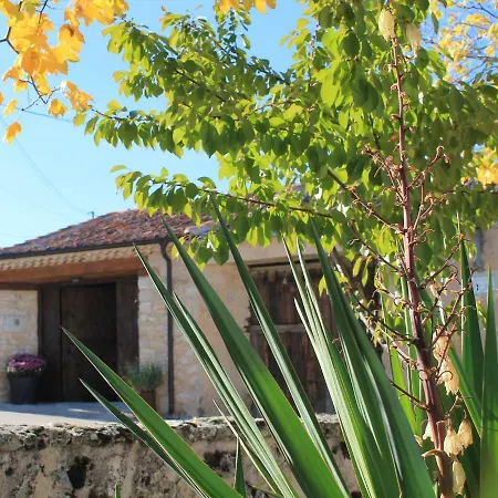 Cotanilla * Cubillo