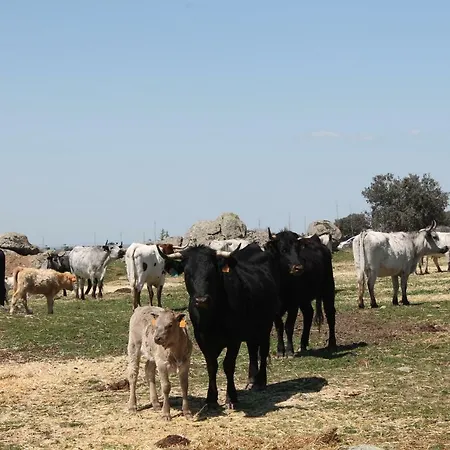 Séjour à la campagne Cotanilla