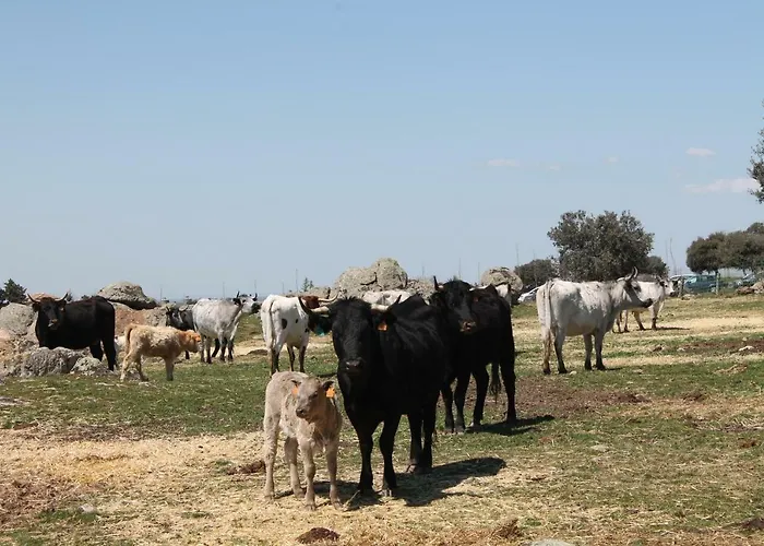 Hétvégi ház Cotanilla